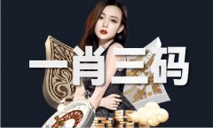港澳台码是什么体验服下载V