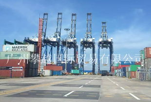 物流洗牌在即 黃埔海關破獲2億元快件走私大案，銷售代理鏈條浮出水面